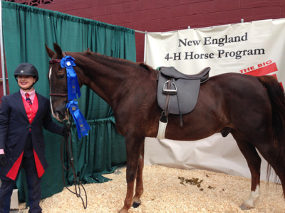 cornerstone-farm-4h-inset