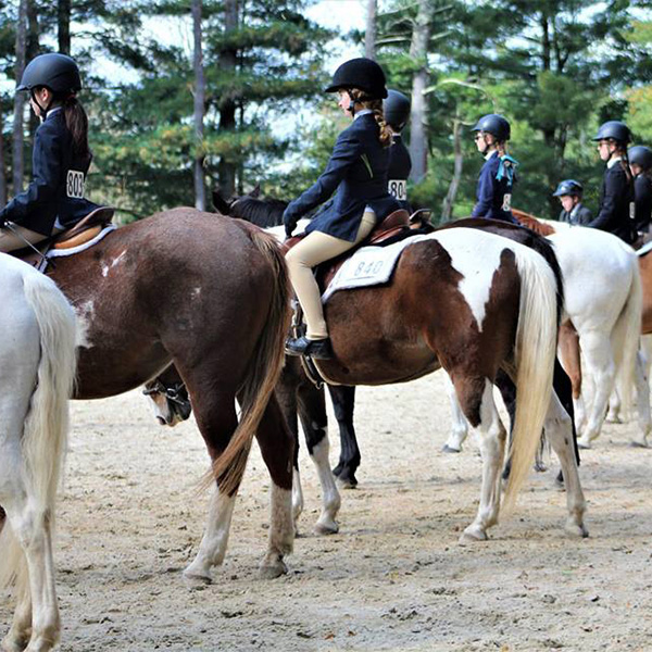 cornerstone-farm-horse-show-mobile-header