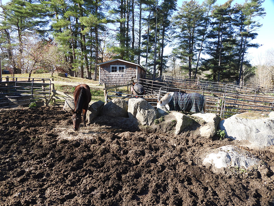 horseback riding rhode island