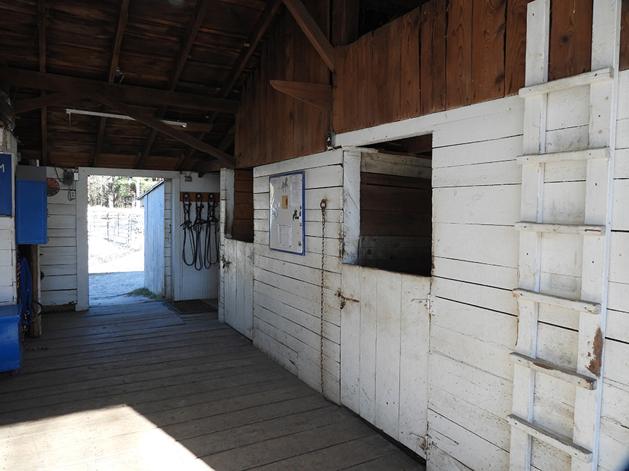 horseback riding rhode island